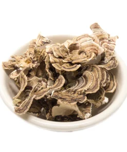 Medicinal Mushrooms Los Angeles