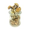 Buy Penis Envy Magic Mushrooms Canada