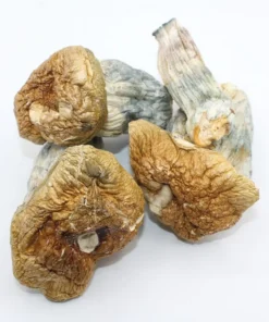 Melmac PE Magic Mushroom - Psilocybin Shrooms