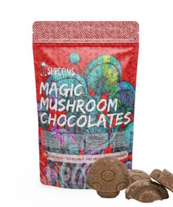 buy-shrooms-magic-mushroom-chocolate