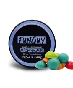 FunGuy – Microdomes – 2000mg Online