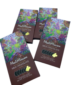 Magic Kingdom Chocolate Bars for sale